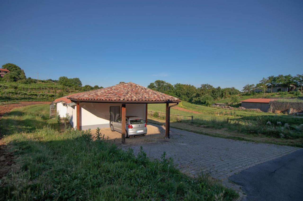Apartment Ana - Karst Cycling Paradise Dutovlje Buitenkant foto