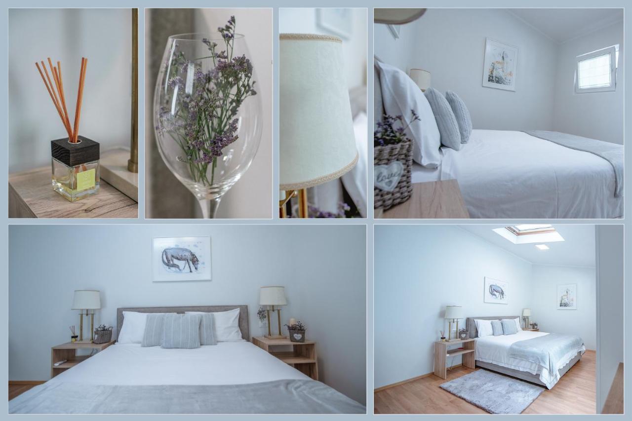 Apartment Ana - Karst Cycling Paradise Dutovlje Buitenkant foto