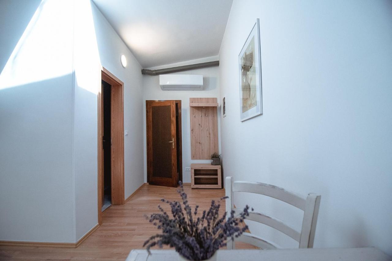 Apartment Ana - Karst Cycling Paradise Dutovlje Buitenkant foto