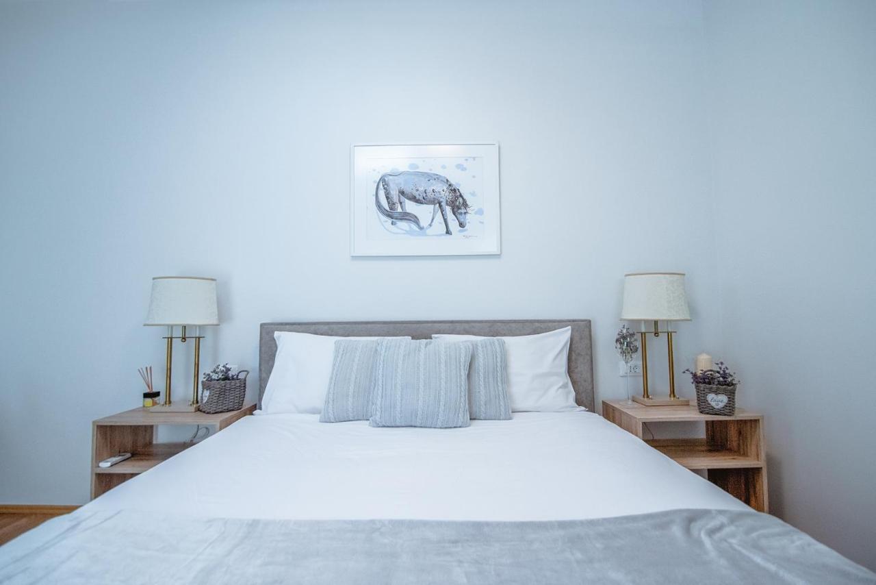 Apartment Ana - Karst Cycling Paradise Dutovlje Buitenkant foto